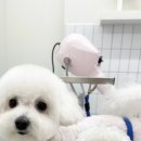 아트댕 이미지