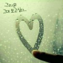 작은뜰