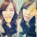써니문 이미지