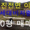 진전면101 이미지