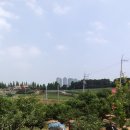 길원농장 이미지