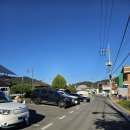 플라워가든 | 마산 덕동 가볼만한곳 이쁜 꽃들이 가득한 플라워가든 후기