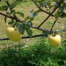 듬뿍농장 이미지