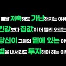 #돈의규칙, 신민철, 애플, 아마존, 주식, 마법같은복리, 투자자, 원금, 배당금, 스노우볼효과, 수익률, 기간 레버리지, 인디언, 맨 이미지