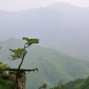 저 너머 달빛 이미지