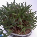 진도향토문화회관 이미지