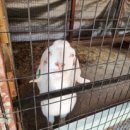 덕소자연사박물관 이미지