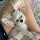 루이야학교가자 이미지