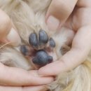 바르다 펫 부산센텀점 이미지