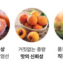 아달달농산 이미지