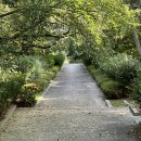 영암공원 | (영암군/공원/산책로) 영암 공원