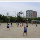 안룡초등학교 이미지