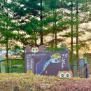 신정호국민관광지 대여소 이미지