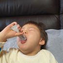 세드러스코리아 | 비타민D까지 함유된 맛있는 세드러스 어린이유산균