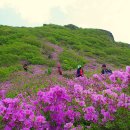 5월5일(화요일:어린이날) 황매산 철쭉, 모산재 이미지