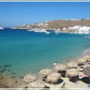 리틀미코노스5 이미지