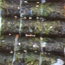 밥앤스낵 이미지