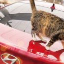 영천2주유소 이미지