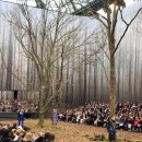 상록수패션 이미지