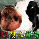 [STAND UP대박]8월10일날인기가요가시는분있으세요? 이미지