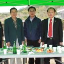 안내초등학교 이미지