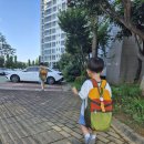 백로와 아침이슬 성큼 다가온 가을! 이미지