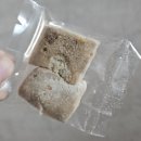 사맛디디저트 | 쫀득쿠키의 알고리즘으로 사맛디디저트의 쫀득쿠키 내돈내산 후기 (전남친쿠키와 자색고구마, 민트초코...