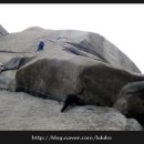 개폼난다 이미지