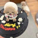 세븐일레븐 하남행복점 | 미사역강아지케이크 추천, 반려견이 먹는 하남주문제작케이크 후기