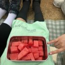 (주)비터스윗코리아 | 행운력 뿜뿜 (영아트x스윙셋 팝업 | 정세운 비터스윗 앵콜콘 | 2025 펜타포트 락페스티벌)