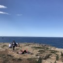 올리브 호스텔 이미지