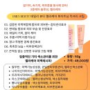 공주피부