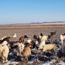 아나스타시아 | [우프랑 농農!담]- 11월 <숲이 가르쳐준 삶: 러시아 마을에서 배우고, 한국에서 짓다> 후기