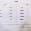 옷 만들기 남성복,여성복 패턴,의류 제작