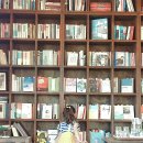 제주 달리 이미지