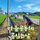정좌3리 경로당 네이버블로그
