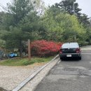 봉곡동289 이미지