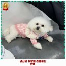 리츠펫 서산호수공원점 이미지