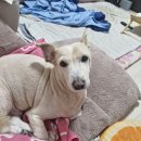 강변마을여자경로당 | 3월) 시리도록 늘 새로웠던 그 날의 음악이여 안녕~~