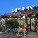 소설 정육식당 이미지