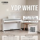 하모니카 | │행사│YAMAHA YDP White 겨울 이벤트