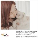 서현펫# 이미지