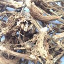 비노한의원 이미지