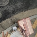 궁전헤어모드 | 청두 자유여행 일기 l 난 복잡할때 여행을 떠나 완전한 이방인이 되고 싶어해