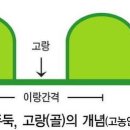 배정농장 이미지