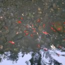 죽현경로당 이미지