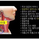 로벳