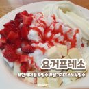 요거프레소한세대점 | [당정역 카페] 요거프레소 :: 한세대 근처 빙수 맛집ㅣ메뉴