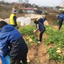 청춘농장 이미지