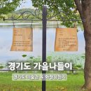 화랑유원지_경기도미술관주변 | 경기도미술관 안산 화랑유원지 가을나들이 아이랑 가볼만한곳